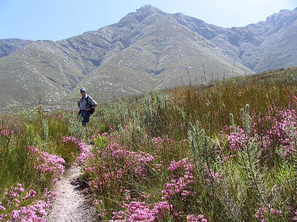 The Swellengrebel Hotel Swellendam Eksteriør bilde